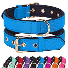 Didog Dog Collar with Soft Padding, Strong Dog Collars with Metal Buckle, Lightweight and Breathable Dog Collars for Small Dogs, Blue, S