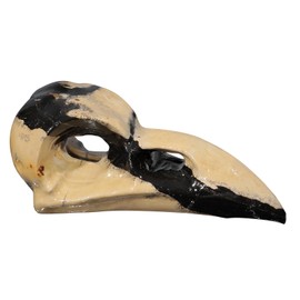 mookaitedecor Natural Grass Flower Jasper Crystal Stone Raven Skull Ornament Cool Gothic Room Decor, Collectible Crow Skull Figurine Crystal Skull Statue Crow Head Ornament Stone Raven Gift 76-82mm