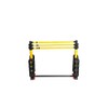 Franklin Sports Foldable Ladder Ball
