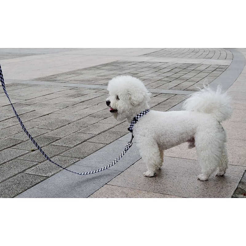 Roses&Poetry Dog Collar with Colourful Checkered Patterns, Adjustable Durable Puppy