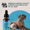 Animal Essentials Detox Blend Liver Support for Dogs and Cats,