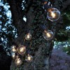 Hometown Evolution, Inc. G50 2" LED Filament Outdoor Patio String