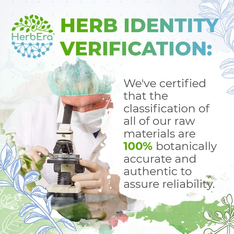 Corn Silk B60 Alcohol-Free Herbal Extract Tincture, Concentrated Liquid Drops