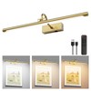 Aipsun 23.6" Brass Picture Lights for Wall Rechargeable,12000mAh Battery Operated