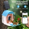 Bird Feeder with Camera, Smart Bird Feeder with Solar Panel,