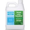 Maximum Green & Growth- High Nitrogen 28-0-0 NPK- Lawn Food
