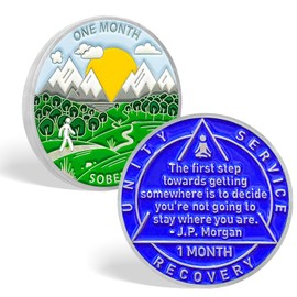 30 Day Sobriety Coin 1 Month Sobriety AA Chips AA Coins, Recovery Coins aa Medallions Chip Recovery Token NA AA Great Sobriety Gifts for Men Women Alcoholics Anonymous Plastic Case Included