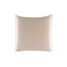 townssilk Both Side 100% 19mm Pure Mulberry Silk Pillowcase for Hair and Skin square 65x65cm size Pillow Case Cushion Cover with Hidden Zipper 600 Thread Count Taupe