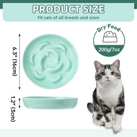 Ceramic Cat Slow Feeder Bowl - Pastel Series Slow Feeding Cat Bowls - Cute Maze Cat Food Plate for Healthy Eating - Fun Cat Puzzle Feeder Dish - Dishwasher Safe - 6.3''W x 1.2''H - 7 OZ - Mint Green