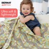 Bernat Softee Baby Yarn - Prince Pebbles