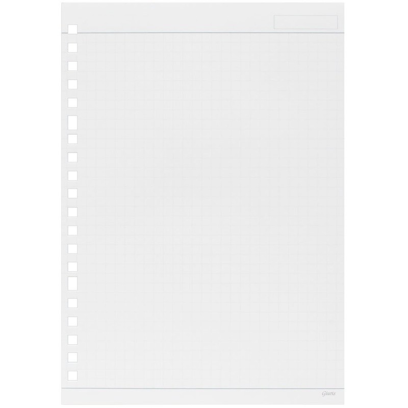 Maruman loose-leaf ziurisu A5 20 Hole 5 mm Grid Ruled