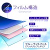 ClearView 【2枚セット】3DS LL対応 液晶保護フィルム 清潔で目に優しいアンチグレア・ブルーライトカットタイプ [video game]