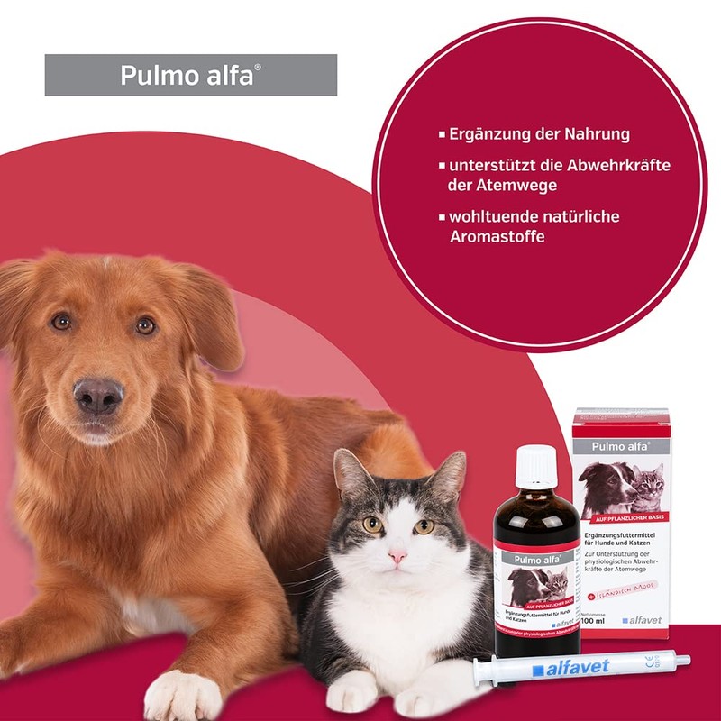 Alfavet Pulmo alfa, Doppelpack, Saft zur Unterstützung der Atemwege von