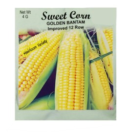 Set of 50 Sweet Corn Golden Bantam Vegetable Seed Packs - 100% GMO Free - Heirloom - Black Duck Brand (50, Sweet Corn- Golden Bantam)