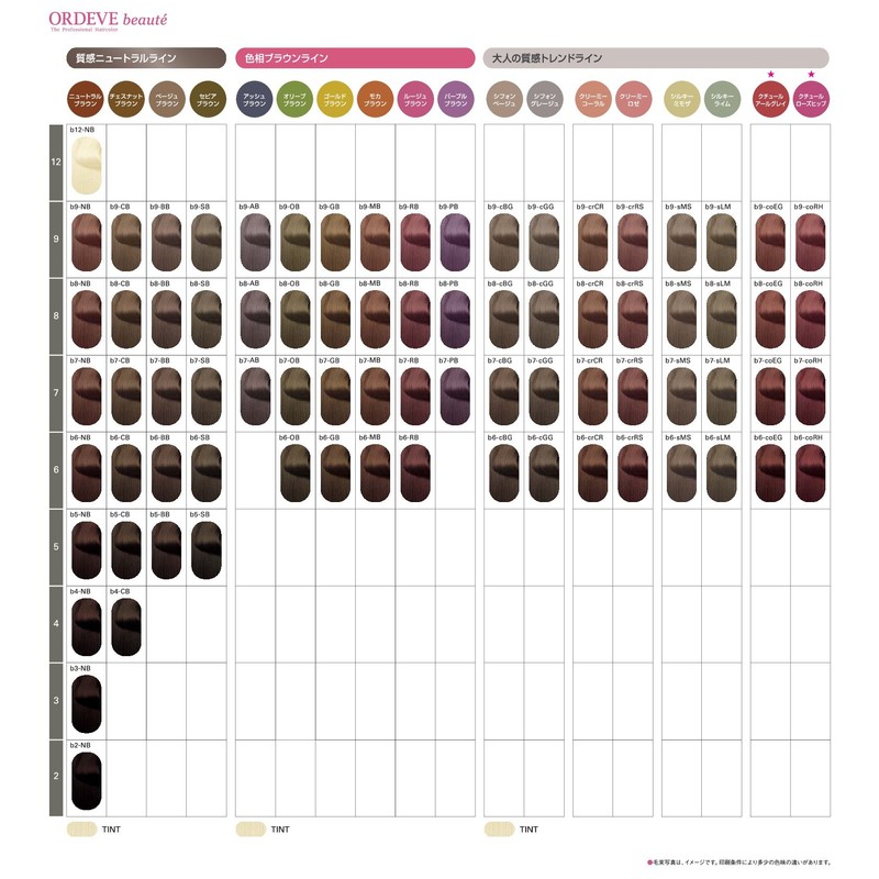 ORDEVE Beauty Hair Color First Agent b9-sLM 2.8 oz (80