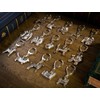 Basset Hound Made in England Art dogguki-horuda- Collection