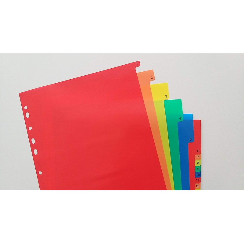DONAU 7736095PL-99 1-31 Plastic Index Polypropylene DIN A4 230 x