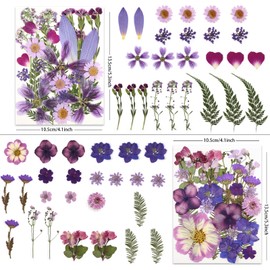 LUXEEASE 100P Purple Pressed Flowers – Real Dried Flowers for Crafts in Rich Violet Tones, Ideal for Resin Art, DIY Projects, Jewelry & Candle Making – Tweezers Included