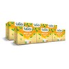 Salada White Tea Delicate White Tea with 40 Individually Wrapped