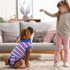 IDOMIK Dog Surgery Recovery Suit, Soft Comfortable Surgical Recovery Dog