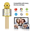 Professional BT Wireless Microphone Karaoke Speaker KTV Music Player Singing