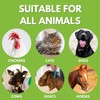 Chicken's Choice Wound Care for Chickens & Birds. Advanced Wound