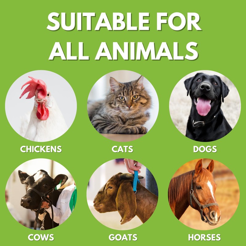 Chicken's Choice Wound Care for Chickens & Birds. Advanced Wound