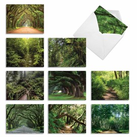 M6467OCBsl Nature Trails: 10 Assorted Blank All-Occasion Note Cards Featuring Meandering Paths and Trails Through Lush Forests and Overhanging Trees, w/White Envelopes. by The Best Card Company
