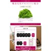 DEO-ROSE Rose Persimmon Shibo Champignon Placenta Etiquette Supplement (Approx. 30
