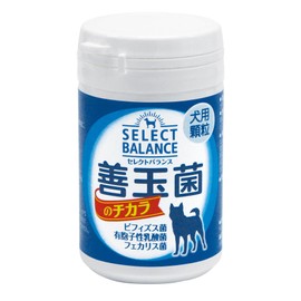 Betts Choice Japan Select Balance Power of Good Bacteria, Granules for Dogs, 1.6 oz (45 g), Pet Supplement
