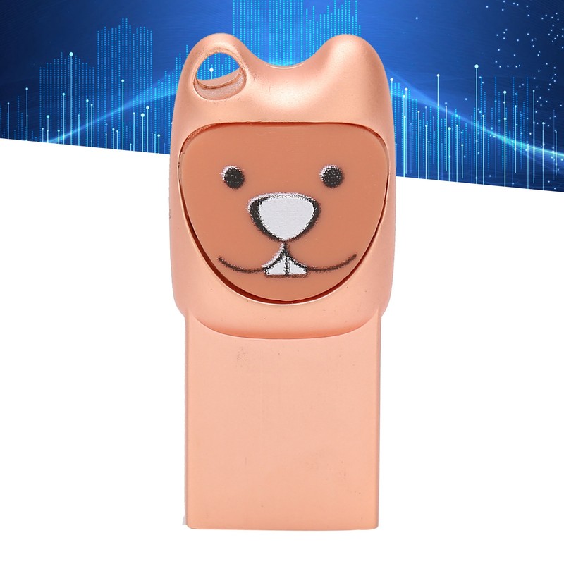 USB2.0 Flash Drive Cute Cartoon Portable Memory Stick with Adapter