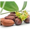 Shampoo Aceite Jojoba Extracto 250ml Celesty Brillo