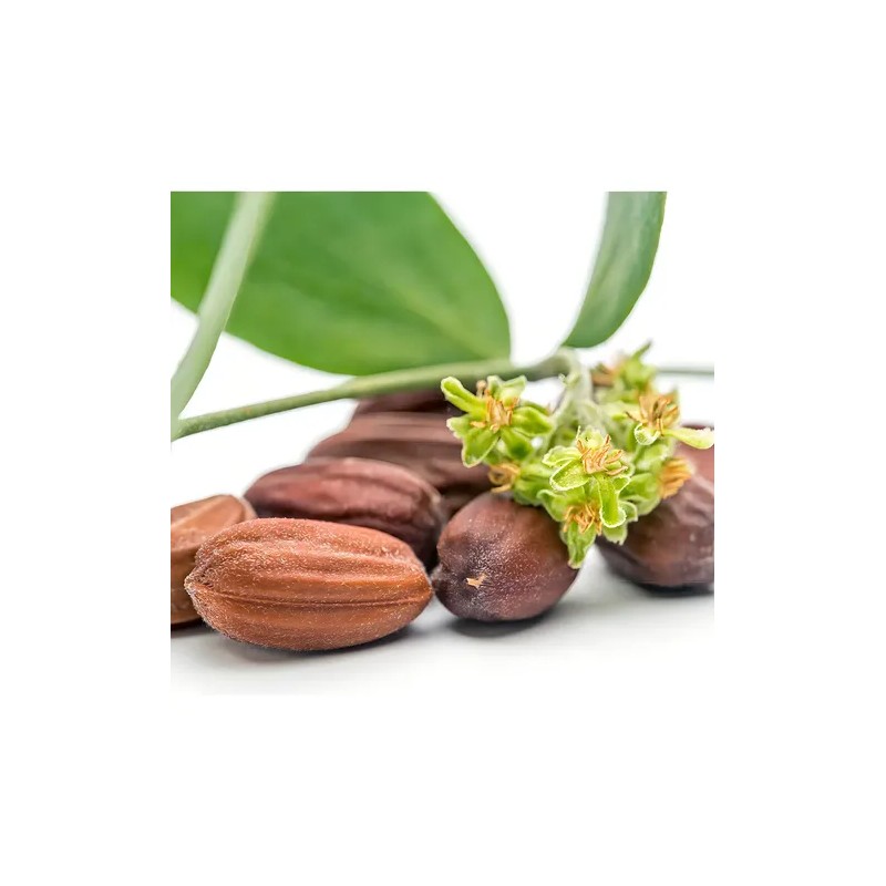 Shampoo Aceite Jojoba Extracto 250ml Celesty Brillo