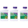 Sedge Ender Concentrate