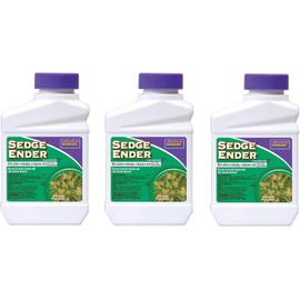 Sedge Ender Concentrate