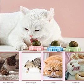 3 Pelotas de Catnip Ball - Juguete para Gatos Interactivo de Pared/Giratorio de 360° Que se Puede Lamer, Triturar o Masticar, Bocadillo de Hierba Gatera para Limpiar los Dientes