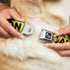 Buckle Down 15-26" Caution Yellow/Black Dog Collar Bone, Large