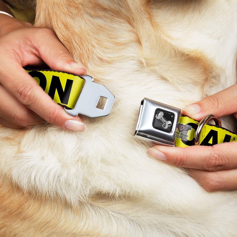 Buckle Down 15-26" Caution Yellow/Black Dog Collar Bone, Large