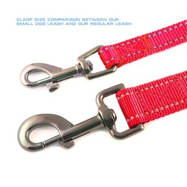 Max and Neo Small Dog Reflective Nylon Dog Leash - We Donate a Leash to a Dog Rescue for Every Leash Sold (RED, 4x5/8)