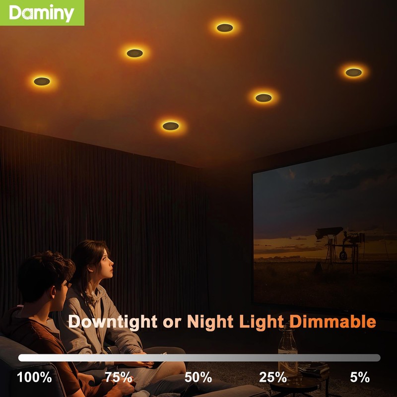 DAMINY 12 Pack 4 Inch 5CCT LED Recessed Light with