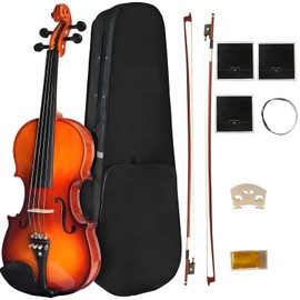 Violin For Beginners, CVN-300 Solidwood Ebony Fitted Violin with Strings, Beginner Starter Violins Kit For Student w/Hard Case, Rosin, Bow, Stringed Musical Instruments, Size 4/4 (Full Size) (4/4)
