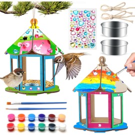 2 Pack Bird Feeders,DIY Bird House Art Crafts Kit for Kids,Garden,Outdoor Paint DIY Birdhouse Wooden Art Activities Crafts for Children Boys Girls Age 8-12 4-6 6-8 3-5
