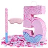 Pink Spider Web Number 5 Pinata, 16 Inch Spider Web