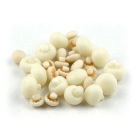 12 x MyTinyWorld Dolls House Miniature Handmade Mushrooms