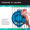 Featherland Paradise | Creative Foraging Systems Mastermind, Interactive Cage-Mounted Bird