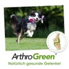 cdVet ArthroGreen JointFit 70g