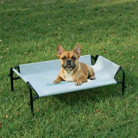 Gardner Pet Elevated Dog Bed for Small Dog, Outdoor Raised Bed Waterproof Portable Cooling Pet Cot Hammock Bed with 3-Sided Guardrail, Breathable Mesh, Grey, 35 Inches