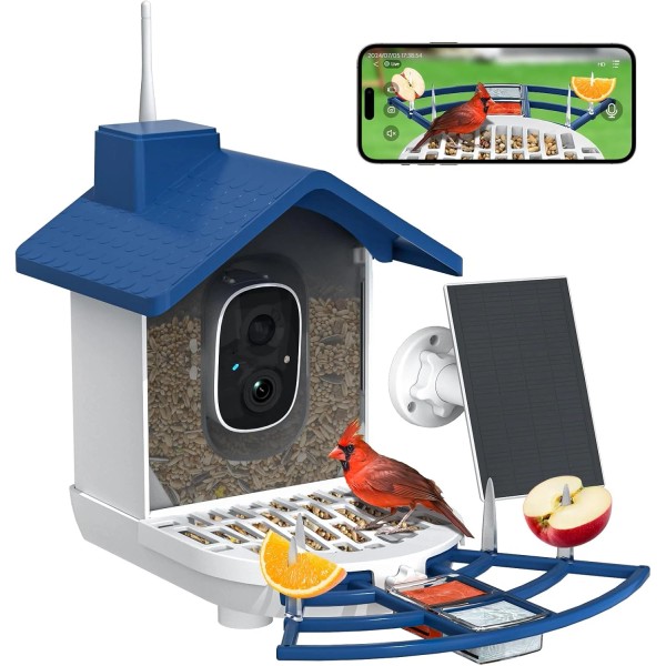 Does not apply Bird Feeder with Camera, Bird Feeders for