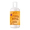 Shea Moisture 2X Shea Solutions Deep Moisture Shampoo, 8 oz.