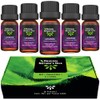 Kit de 5 aceites Esenciales de Lavanda para Difusor y
